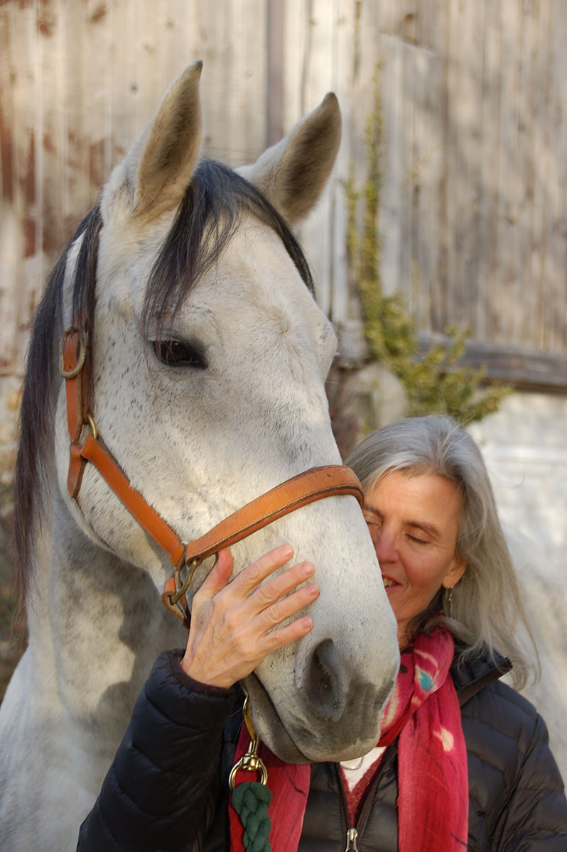 Horses as valued Teachers - Horse Spirit Connections