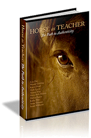 Horse as Teacher book
